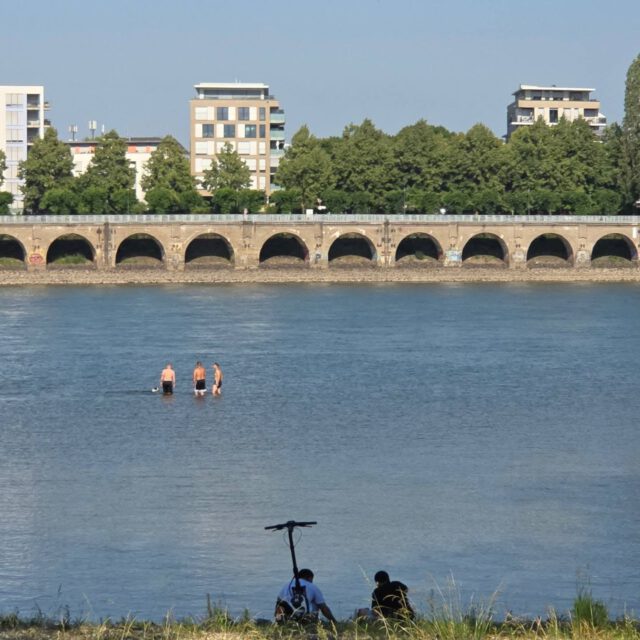 At the beach#Rhein#Köln#chranachwäldchen