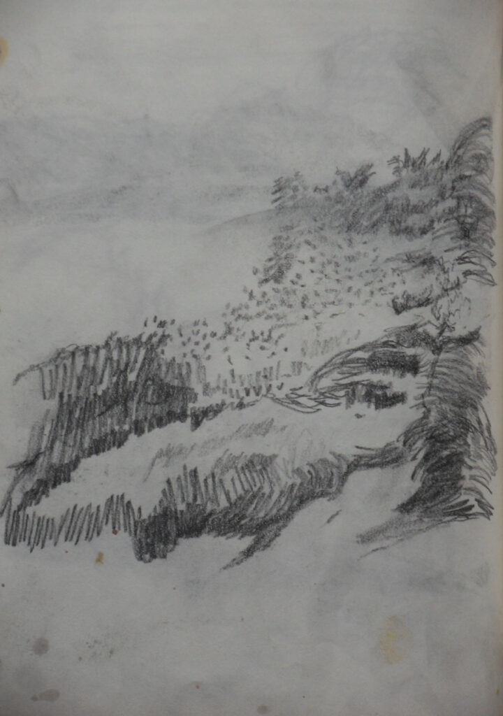 Tamyo Leonard, Usedom, Strand, Windflüchter, 28 x 18 cm